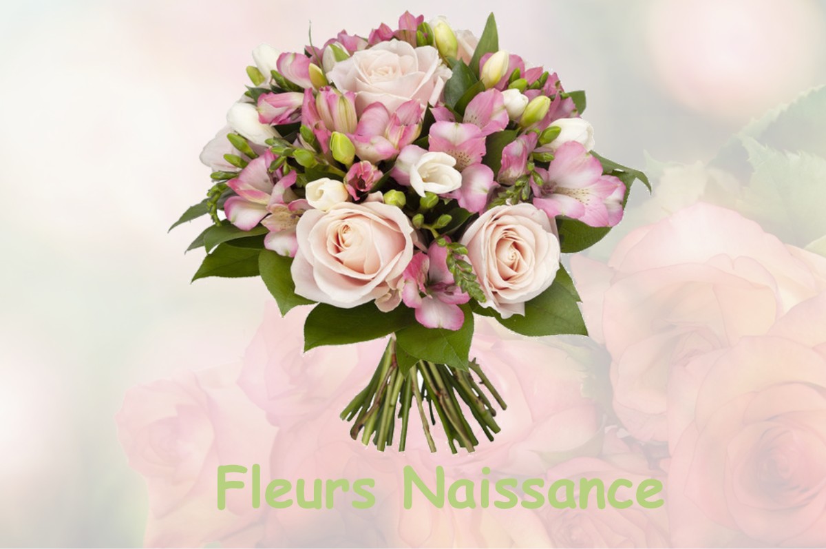 fleurs naissance VIF